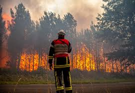 Europe heatwave triggers wildfires